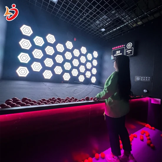 Indoor Target Throwing Ball Game Machine for Fun - Image 6