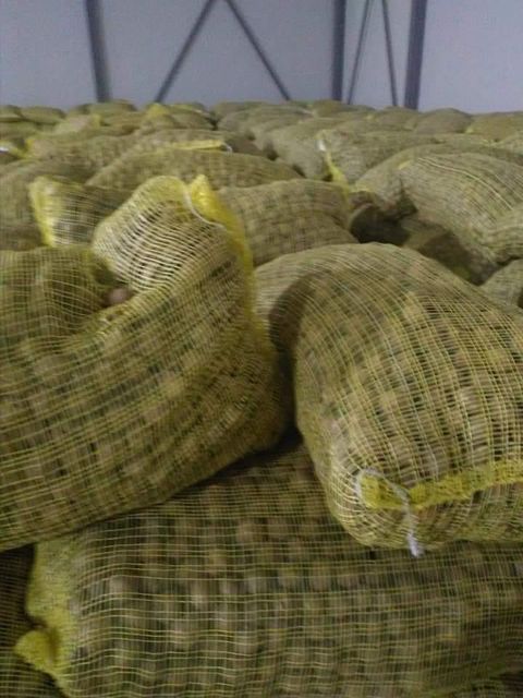 Highest Grade Organic Walnuts Kernels Ready for Export Healthy Dried Walnuts Bulk Sweet Taste High Quality Drying Process Shell whatsap +255787979235 - Image 5