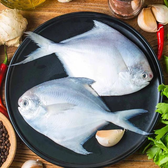Frozen Silver Pomfret Fish Fresh Frozen Ocean Harvest Selection For Wholesale Seafood Supply And Food Service Buyers - Image 3