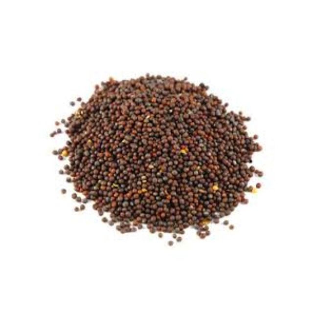 Bulk supply Mustard Seeds available in customized packaging for bulk orders - Image 1