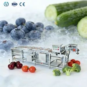 Industrial Vegetable and Fruits Pretreatment Processing Machine Bubble Cleaning Equipment - Image 1
