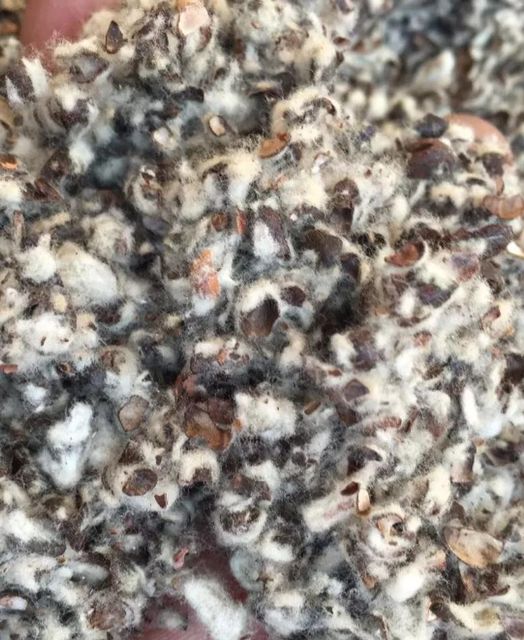 Cotton hulls( animal feed) – product photo 3, product detail gallery