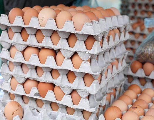 Brown Hatching Eggs High Quality Fresh Farm Eggs Wholesale Supplier Available Now - Image 3