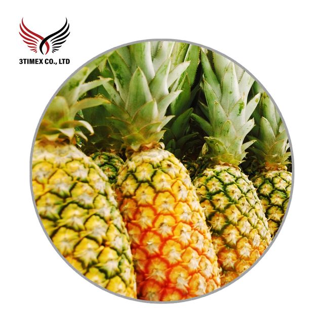 Best Price Tasty Dried Pineapple Sweet/Sour Taste Fresh Instant Use Snack Food Sliced Vacuum Pack Dried Fruit From Vietnam - Image 3