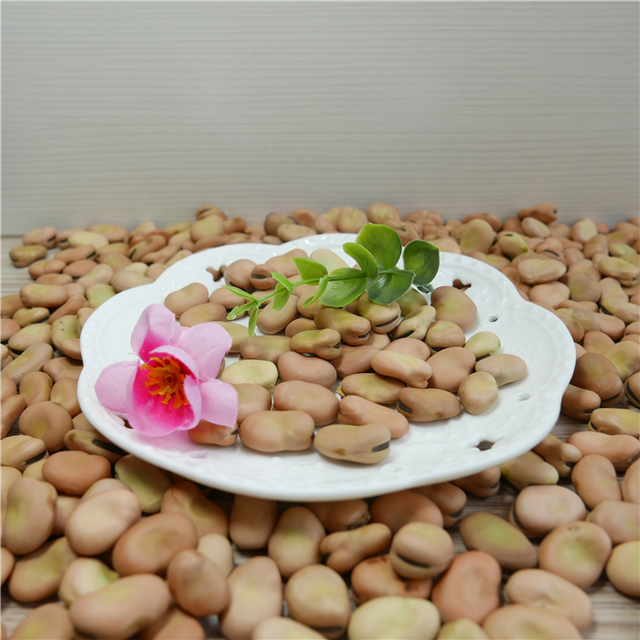 Natural growth broad beans fava bean faba beans Style Dried Weight (kg) 25 Ingredients NO Brand Name jidi Model Number - Image 4
