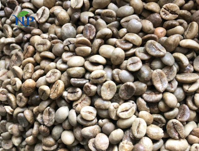Robusta Coffee scr16-Wet Polished – product photo 4, product detail gallery