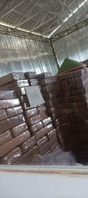 Cocopeat Block/ Bricks - Image 1