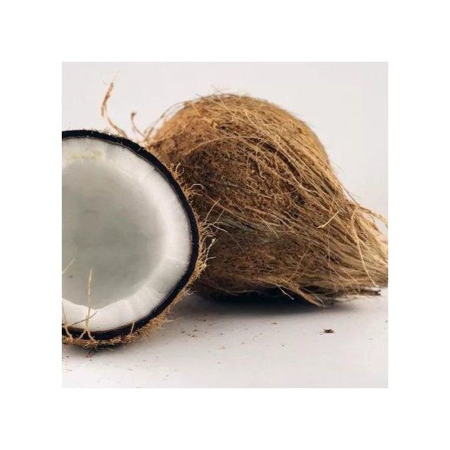 Wholesale ready fresh coconut delivered with reliable quality standards - Image 4
