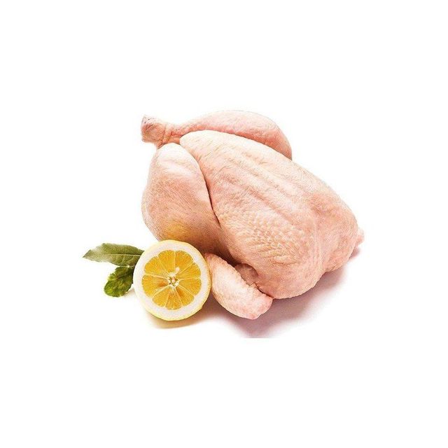 Premium frozen whole chicken prepared for retail and food distribution channels - Image 3