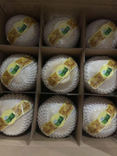 Coconut (Diamond cut or Easy-open) - Image 3