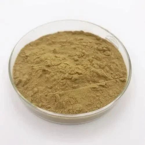 Ajuga Turkestanica Extract - Image 1