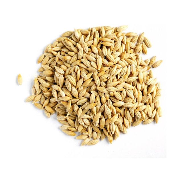 Barley grain wholesale bulk supply available at factory direct price - Image 3