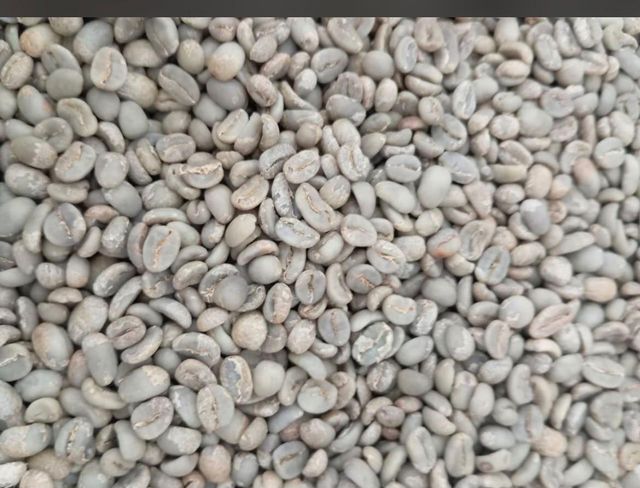 Green bean coffee robusta & Arabica Indonesia - Image 3