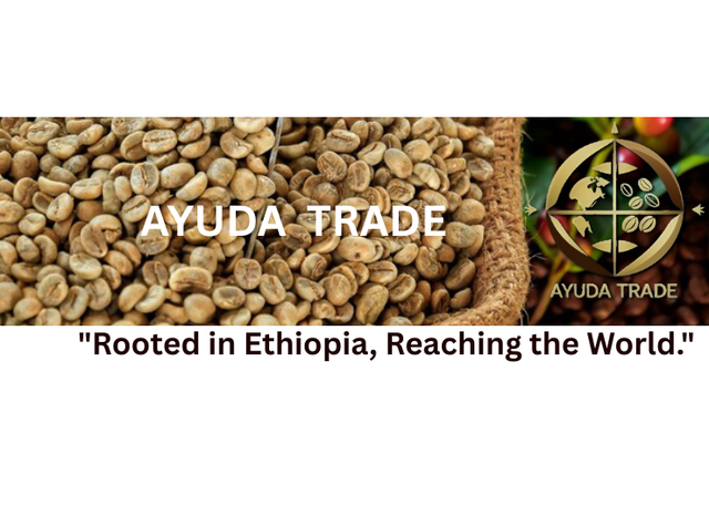 Arabica coffee bean Quality GRADE 1, 2, 3, 4, 5 Place of Origin Guji, jimma , Neqemte, Sidamo, Keffa - Image 2
