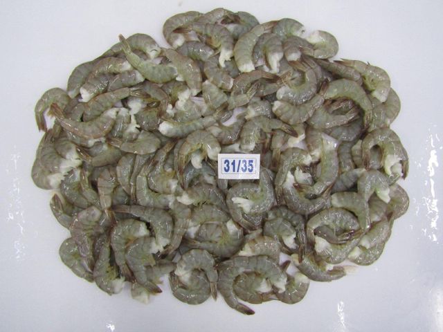 Shrimps and squid - Image 3