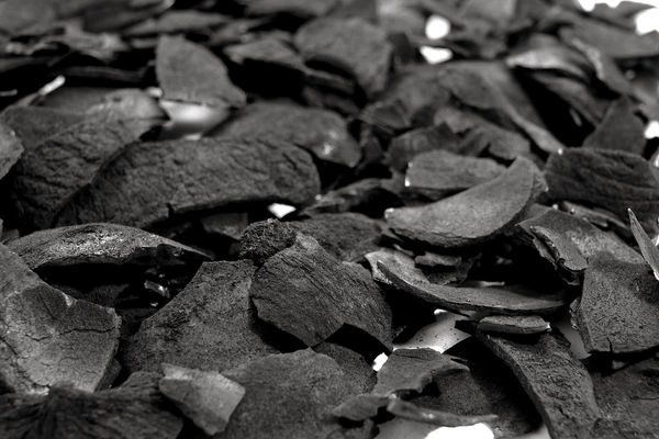 coconut shell charcoal – product photo 3, product detail gallery