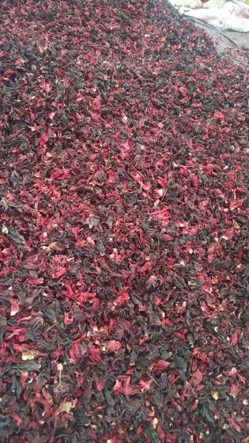 Dried hibiscus flower - Image 5