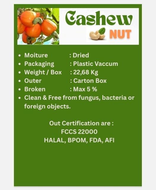 CASHEW NUT - Image 2