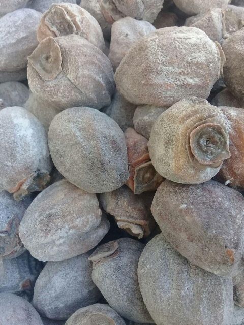 dried persimmon Packaging box Product Form Dried Origin Other, Uzbekistan Degree of Processing Dried Processing Method Freeze Dried, IQF - Image 3