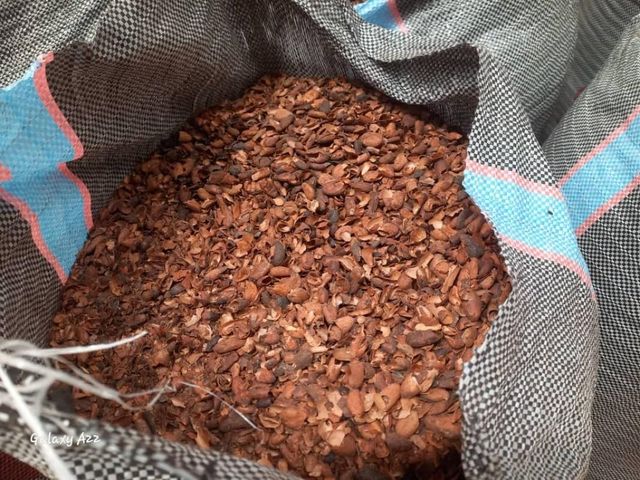 Natural Waste Cocoa Shell For Garden Mulch Organic - Image 5