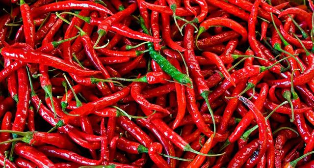 Frozen Red Chili Hot Chili Pepper With High Quality - Chili Pepper  - Image 2