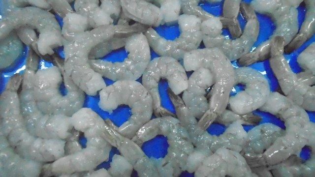 FROZEN RAW PEELED AND DEVEINED TAIL ON(PD) VANNAMEI WHITE SHRIMP - Image 3