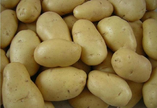 New Best International High Quality Organic Yellow Fresh Potatoes Natural Farm Grown Bulk Wholesale for Export Restaurants - Image 4