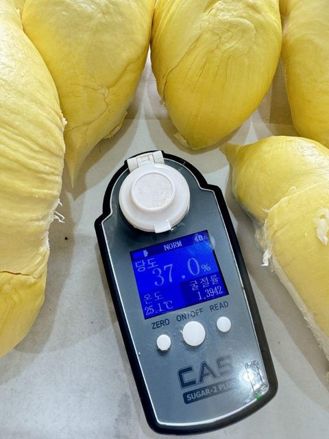 Premium Fresh Organic Whole Durian Mon Thong King of Fruits Original Taste From Thailand Rich & Creamy 3-4 PCS/BOX (Whole) - Image 4