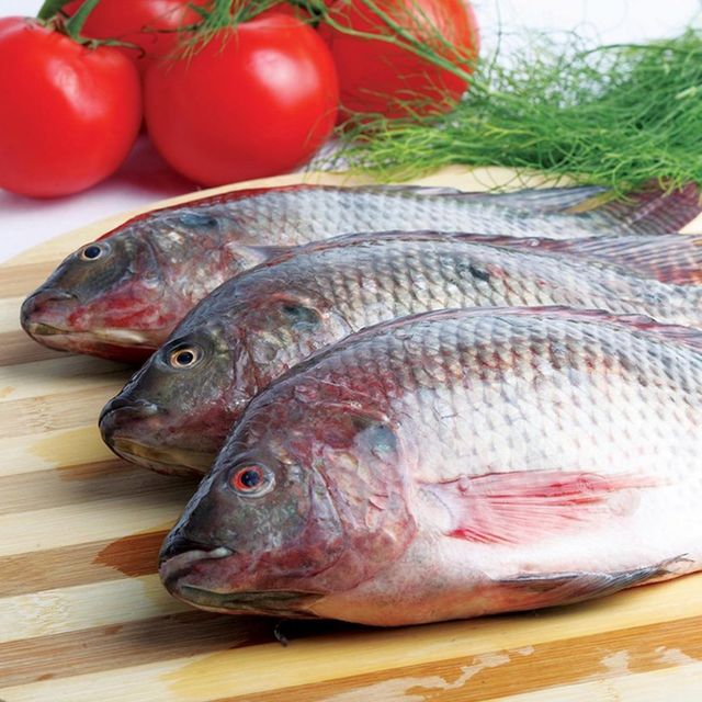 TOP Quality Frozen Tilapia Fresh Frozen Viscera Iqf Red Tilapia Rouge Frozen Ready for Sale - Image 4