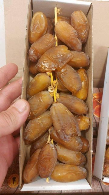 Date fruit / Fresh dates/Deglet Nour – product photo 3, product detail gallery