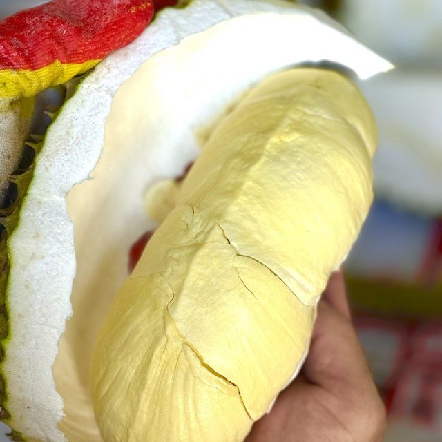 Whole Durian Mon Thong Premium Fresh Organic King of Fruits Original Taste From Thailand Rich & Creamy 3-4 PCS/BOX (Whole) - Image 1