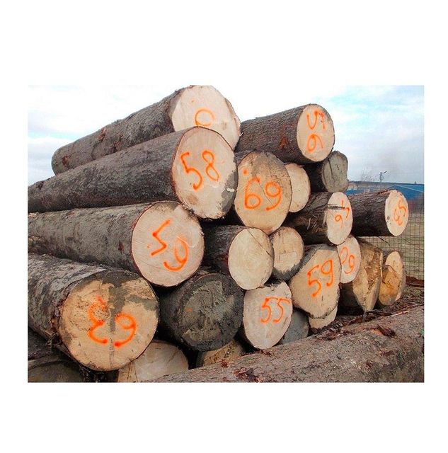 Spruce Wood Logs - High-Quality Timber for Sawmills and Wood Industries - Image 1