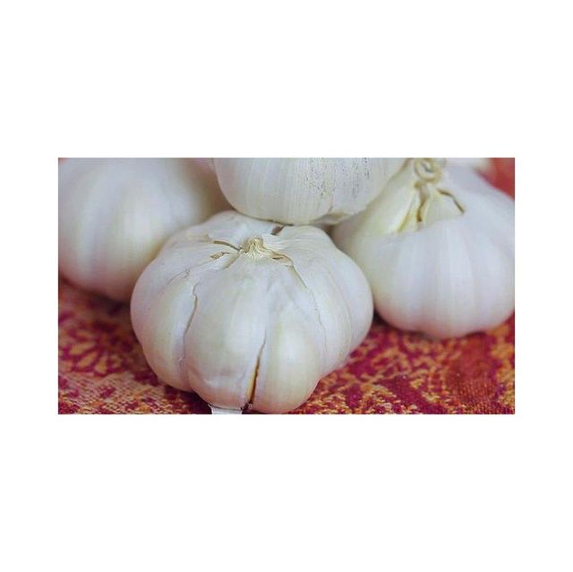 Best Quality Fresh Peeled Garlic For Sale In Cheap Price - Image 1