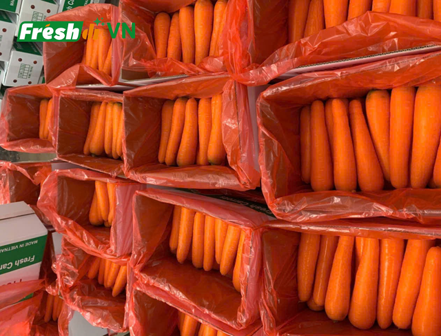 Fresh Carrot Organic Yes Shape Uniform Freshness Level Fresh Certification Phytosanitary Color Bright natural orange, Orange - Image 3