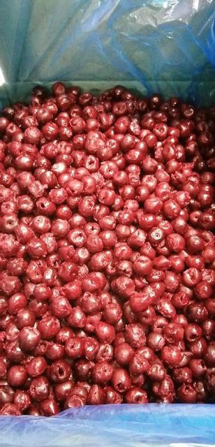 IQF frozen pitted sour cherries from Serbia - Image 3