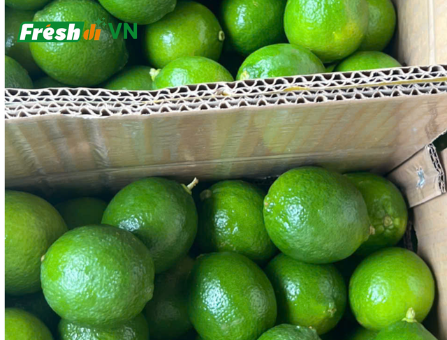 Seedless Lime Organic Yes - Image 4