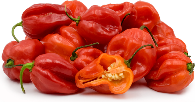Scotch bonnet chili paper Form Chili Peppers Selection Process Hand-selected Flavor Authentic With Heat And Taste Production Method Sustainable - Image 1