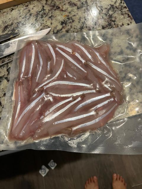 Chilled, cleaned, vacuum pack kingfish,Anchovy,Sardine,Snakehead - Murrel, never frozen fishes from India and airlifted. - Image 2