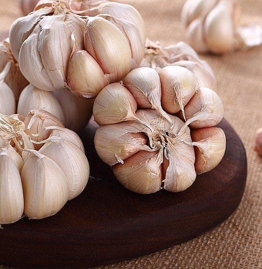 Hot Selling Garlic Extract Powder Affordable Price Dried Garlic Powder For Sale - Image 3