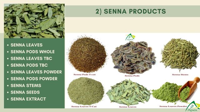 senna leaves bulk supplier from india Color green Material leaves Grade No.2 & No.3 Shelf Life 3 years Brand Name Apex Senna - Image 4