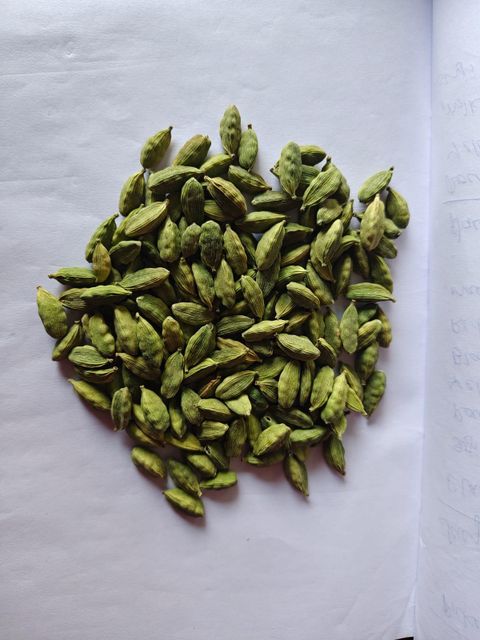 Cardomom - Image 1