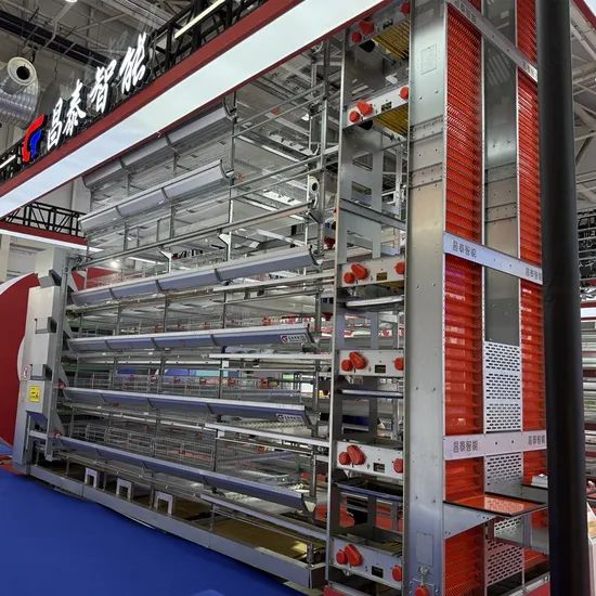 Hot Galvanizing Good Quality H Type Farming Poultry Battery Cage - Image 4