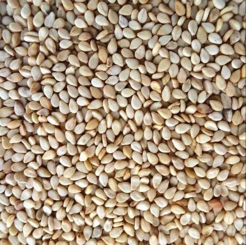 Sesame seed – product photo 3, product detail gallery