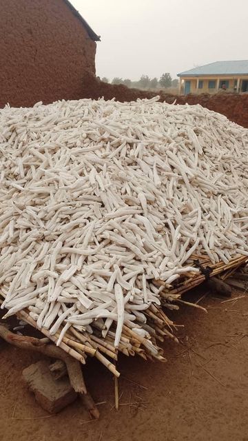 Cassava chips - Image 1