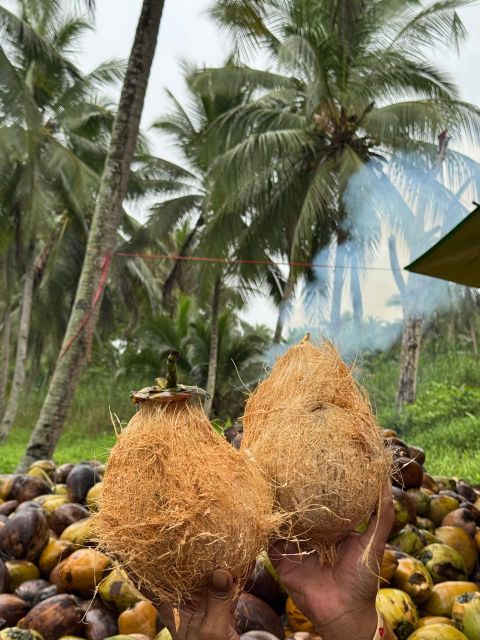 semi husked coconut - Image 1