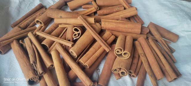 cinnamon stick - Image 3