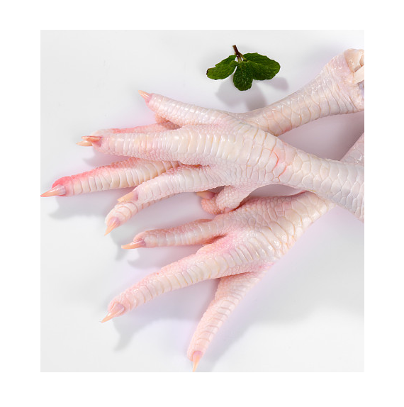 Cheap Wholesale Top Quality Halal Frozen Chicken Feet | Frozen Chicken Paws In Bulk - Image 5
