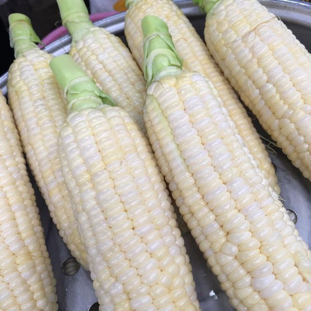 Farm sourced White Corn prepared for wholesale distribution where White Corn meets export buyer standards - Image 3