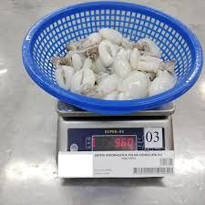 Frozen Whole Clean Baby Cuttlefish, Frozen Cuttlefish Fillet Roll, and Frozen Grilled Cuttlefish Fillet, ensuring reliable B2B seafood solutions - Image 5