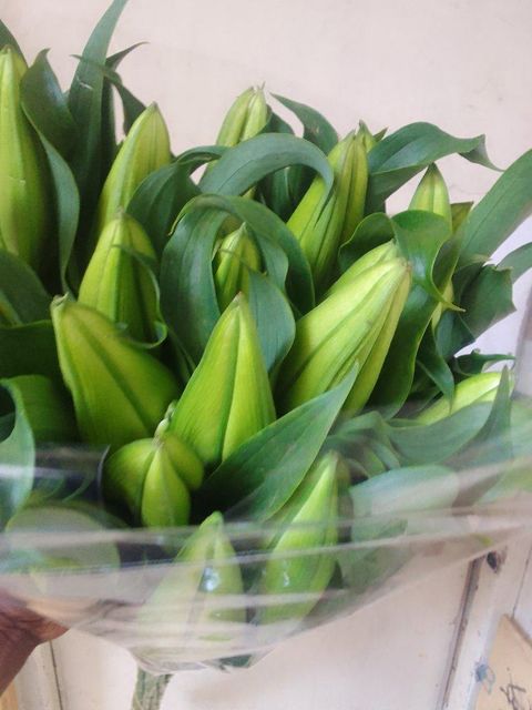 Cut Flowers - Image 3